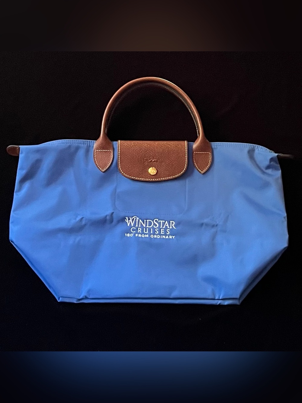 Longchamp Custom Co-Branded Longchamp  Le Pilage Tote Bag